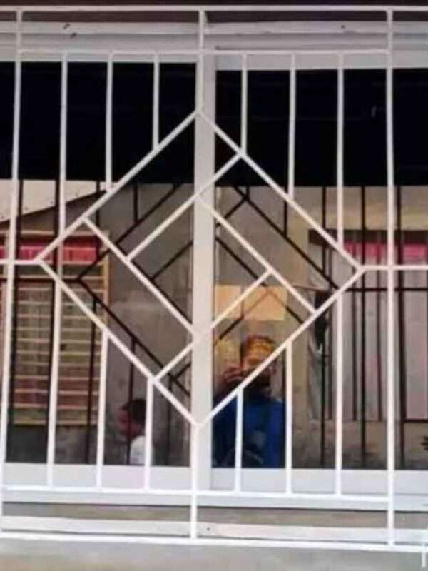 Grill of window